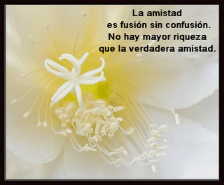 Amistad2-1.png picture by OrquideaRuth1