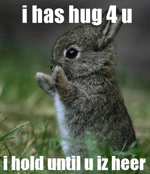 [Image: bunny.jpg]