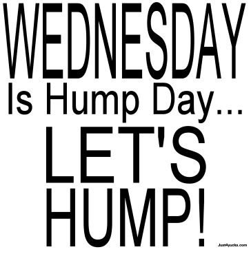 Wednesday Comments