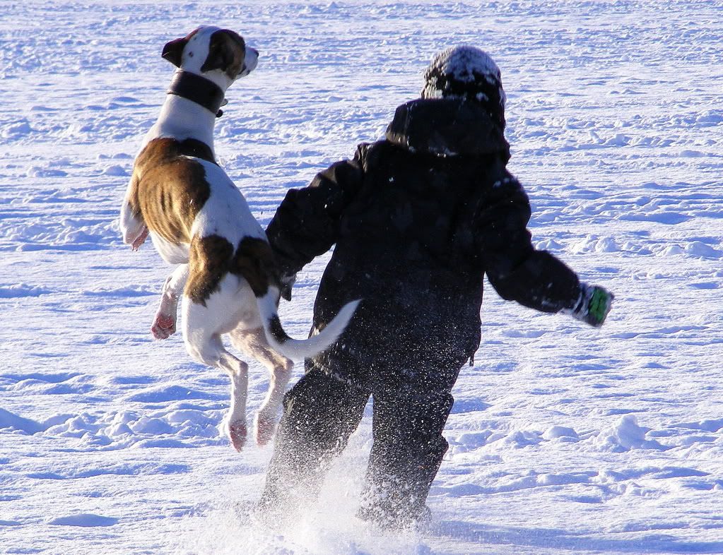 DSCF6336.jpg