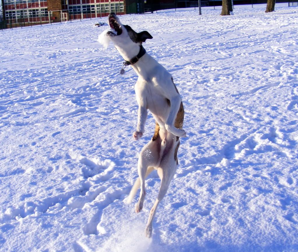 DSCF6356.jpg
