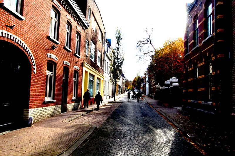 Fotografie