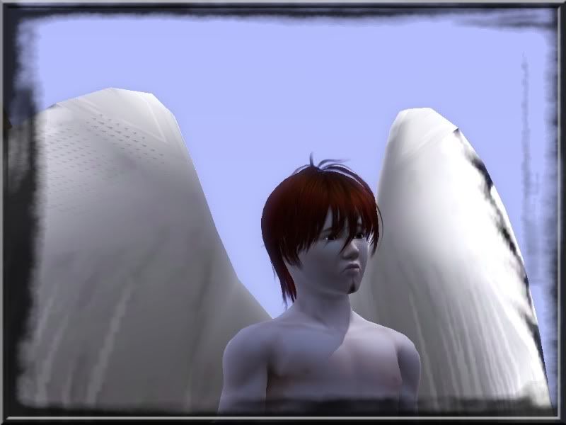 06.jpg