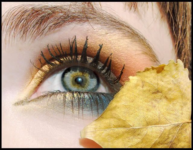 _Eye_of_Autumn_by_whorer_movie.jpg picture by miaumiaublog