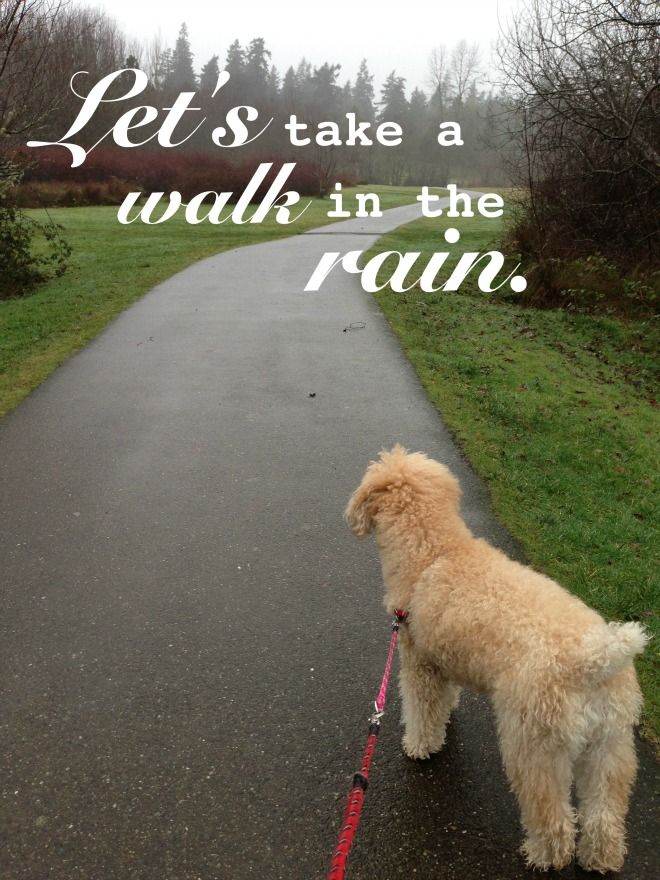 Take a Walk in the Rain~