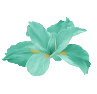  photo 0_ce994_b9a724f6_L.png