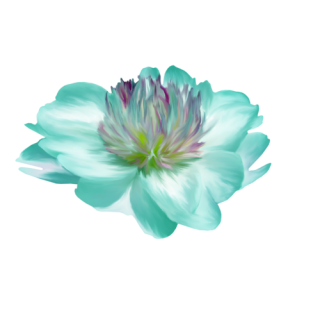  photo 0_ce9a7_beec5aa1_L.png