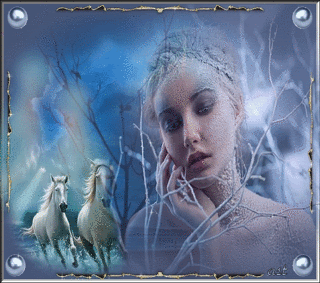  photo 13052003594416170211208818.gif