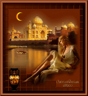  photo 2496356065_2.gif