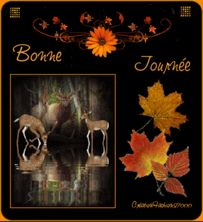  photo 2652365084_1.gif