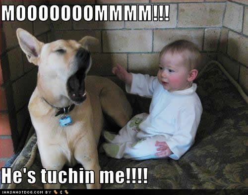  photo funny-dog-pictures-tuchin-me.jpg