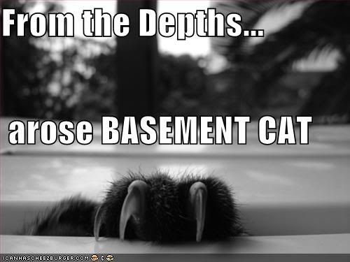  photo funny-pictures-basement-cat-clw.jpg