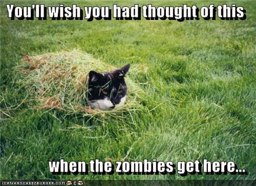  photo funny-pictures-cat-hides-from-zombi.jpg