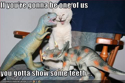  photo funny-pictures-kitten-will-be-dinos.jpg