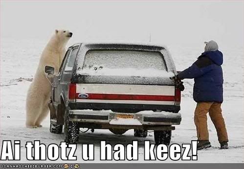  photo funny-pictures-polar-bear-snow-keys.jpg