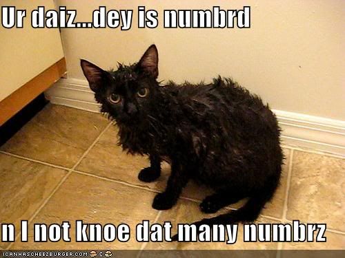  photo funny-pictures-wet-cat-counts-your-.jpg