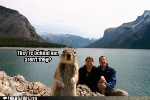  photo funny-animal-captions-theyre-behind-me-arent-they.jpg