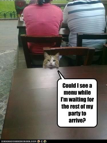  photo funny-cat-pictures-dont-you-hate-being-the-first-to-arrive1.jpg