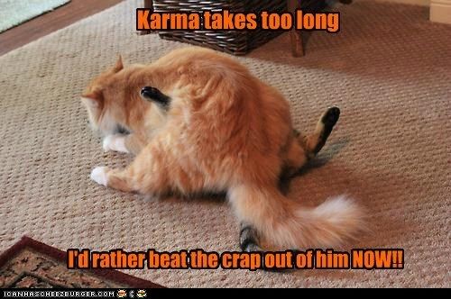  photo funny-cat-pictures-karma-takes-too-long.jpg
