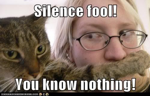  photo funny-cat-pictures-silence-fool-you-know-nothing.jpg