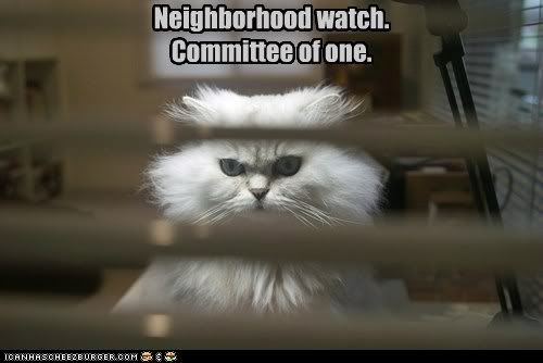  photo funny-pictures-neighborhood-watch-committee-of-one.jpg