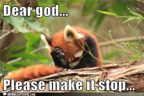 funny-animal-captions-dear-god-please-make-it-stop.jpg