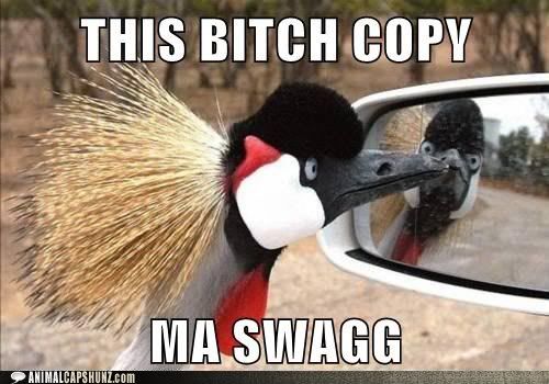  photo funny-animal-captions-this-bch-copy-ma-swagg.jpg