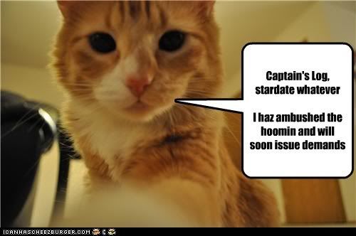  photo funny-cat-pictures-captains-log-stardate-whateveri-haz-ambushed-the-hoomin-and-will-soon-issue-demands.jpg