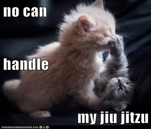  photo funny-cat-pictures-no-can-handle-my-jiu-jitzu.jpg