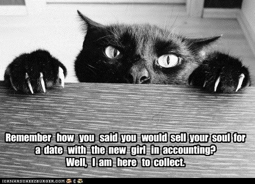  photo funny-cat-pictures-remember-how-you-said-you-would-sell-your-soul-for-a-date-with-the-new-girl-in-accounting-well-i-am-here-to-collect.jpg