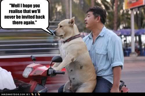  photo funny-dog-pictures-well-i-hope-you-realise-that-well-never-be-invited-back-there-again.jpg