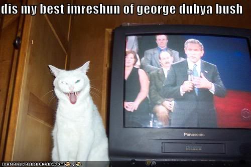  photo funny-pictures-cat-george-bush-impr.jpg