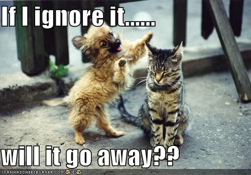  photo funny-pictures-cat-ignores-dog.jpg
