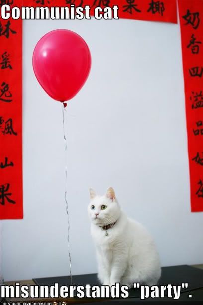  photo funny-pictures-communist-cat-party.jpg
