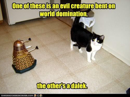  photo funny-pictures-domination.jpg
