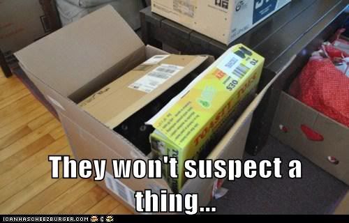  photo funny-pictures-they-wont-suspect-a-thing.jpg
