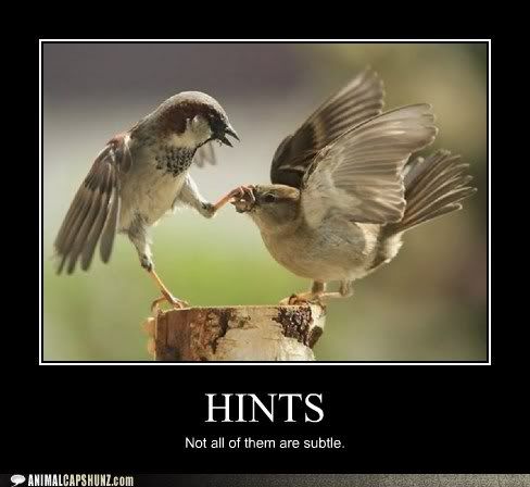  photo funny-animal-captions-quit-your-squawking.jpg