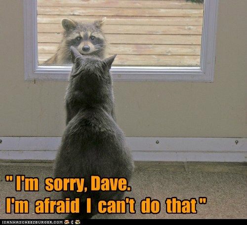  photo funny-cat-pictures-im-sorry-dave-im-afraid-i-cant-do-that.jpg