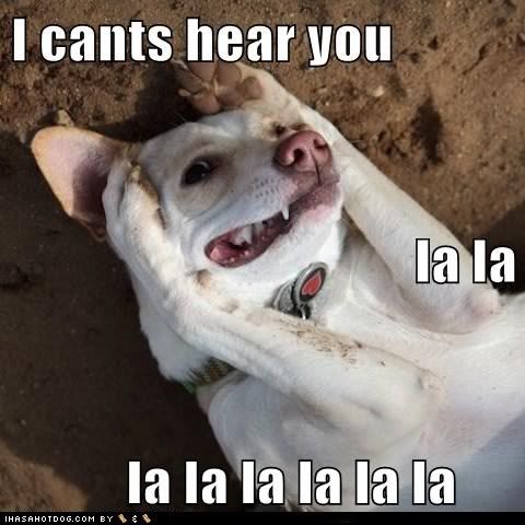  photo funny-dog-pictures-i-cants-hear-you-la-la-la-la-la-la-la-la.jpg