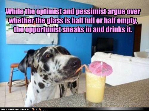  photo funny-dog-pictures-while-the-optimist-and-pessimist-argue-over-whether-the-glass-is-half-full-or-half-empty-the-opportunist-sneaks-in-and-dr.jpg