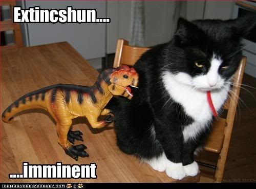  photo funny-pictures-cat-will-kill-dinosa.jpg
