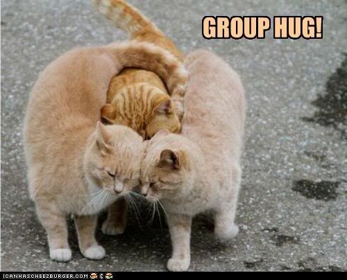  photo funny-pictures-group-hug.jpg