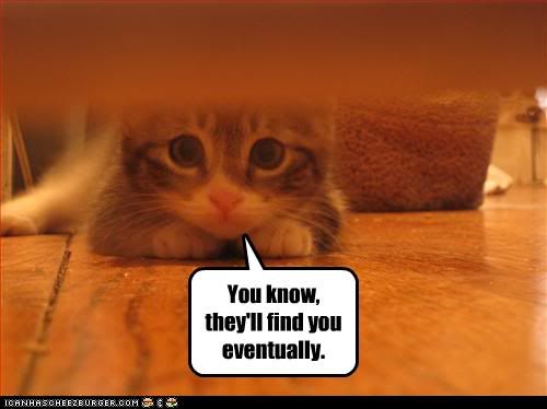  photo funny-pictures-kitten-says-they-wil.jpg