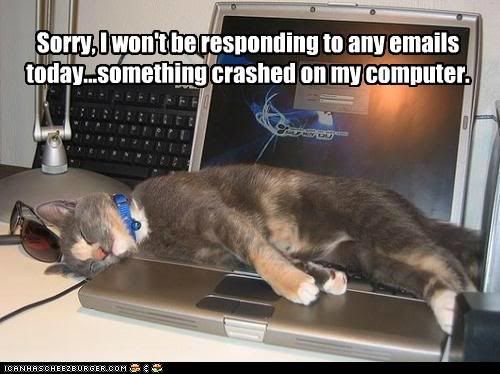 photo funny-pictures-sorry-i-wont-be-responding-to-any-emails-today-something-crashed-on-my-computer.jpg