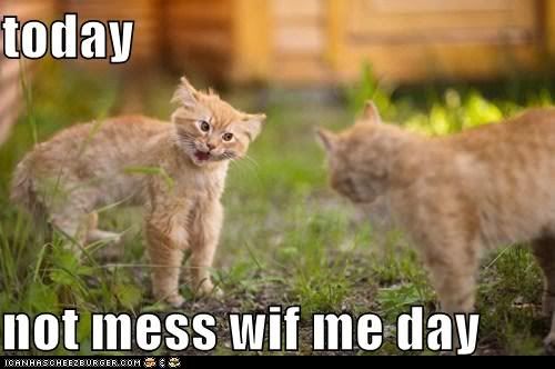  photo funny-pictures-today-not-mess-wif-me-day.jpg