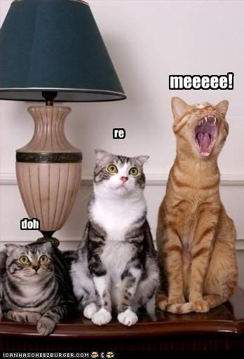  photo funny-pictures-cats-sing-musical-no.jpg