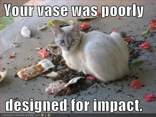  photo funny-pictures-your-vase-was-poorly.jpg