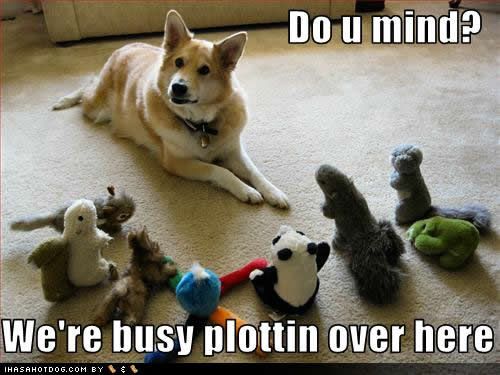  photo funny-dog-pictures-busy-plottin.jpg