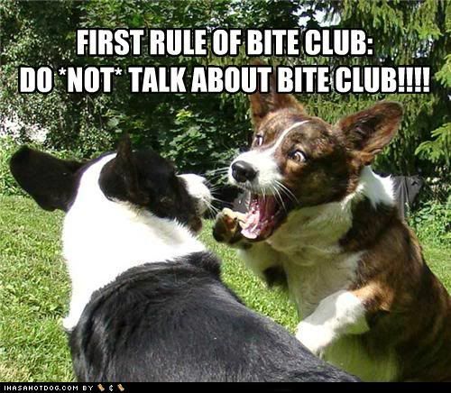  photo funny-dog-pictures-first-rule-of-bite-club-do-not-talk-about-bite-club.jpg