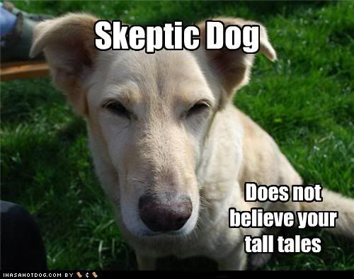  photo funny-dog-pictures-skeptic-dog.jpg